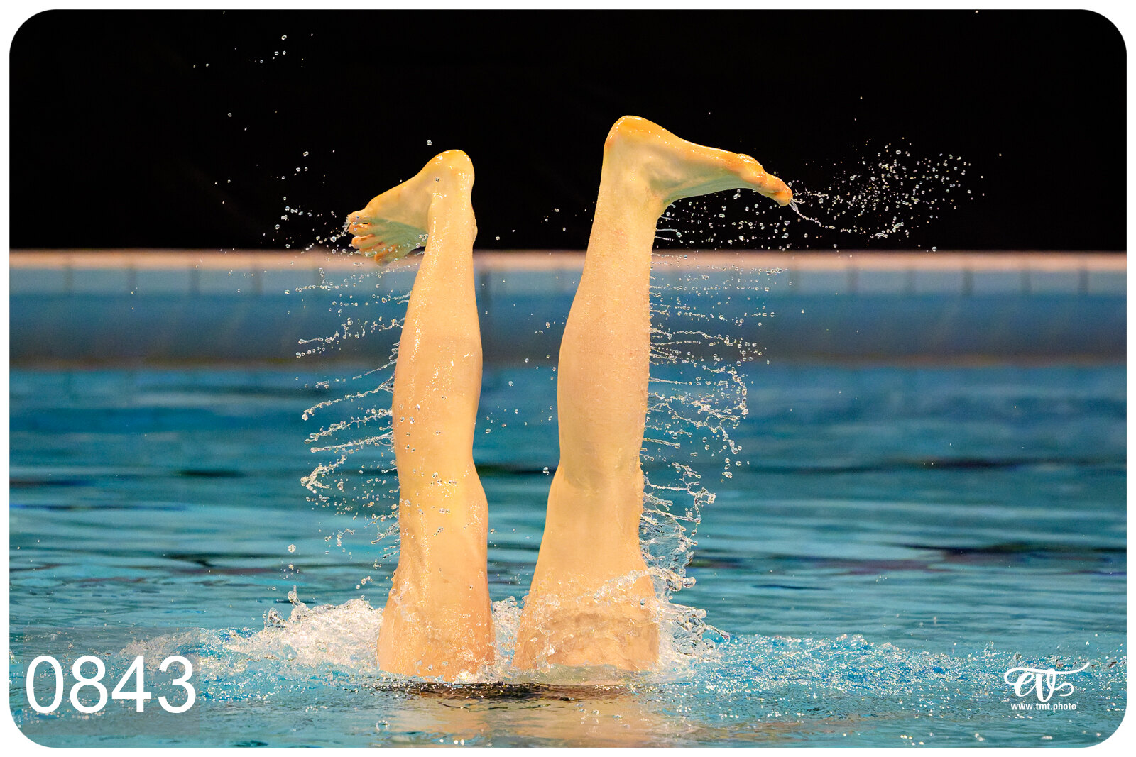 CHAMPIONNAT DE FRANCE DE NATATiON ARTISTIQUE N1 & ELITE 2026